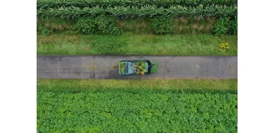 Expo-Doublet--Inge-Meijer