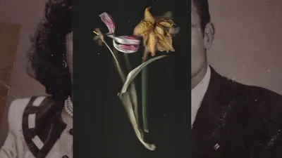 Sirin-Bahar-Demirel-still-uit-Between-Delicate-and-Violent