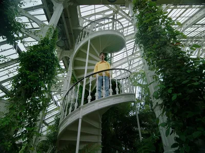 The Golden Spurtle-still-