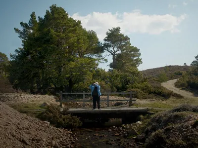 The Golden Spurtle-still-