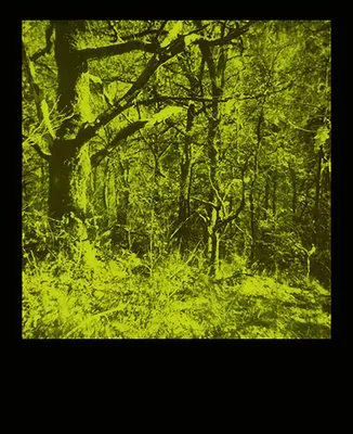 Uitnodiging. polaroid--copy-